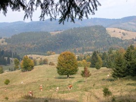 erdélyi túrák, programok, szállás